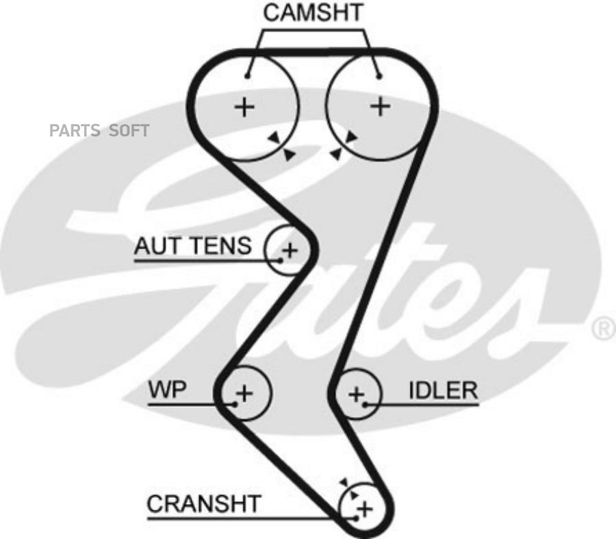 Ремень Грм Citroen C4/Peugeot 206/307 Mot.2.0l 16v 04-> Gates 5528xs Gates арт. 5528XS
Ремень Грм Citroen C4/Peugeot 206/307 Mot.2.0l 16v 04-> Gates 5528xs Gates арт. 5528XS