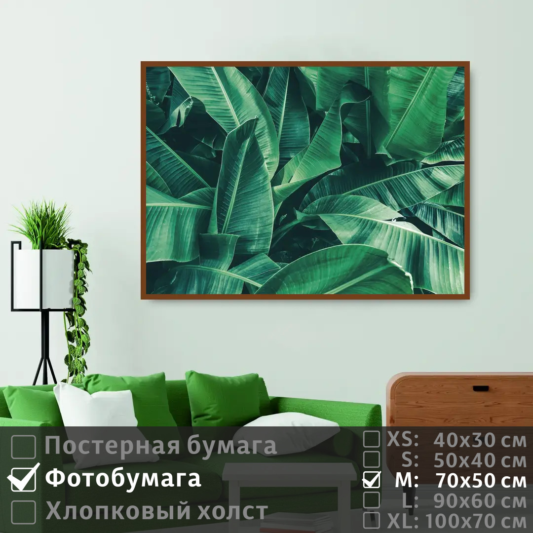 Постер на фотобумаге ПолиЦентр Тропические банановые листья 70х50 см, ТропическиеБанановыеЛистья
Постер на фотобумаге ПолиЦентр Тропические банановые листья 70х50 см, ТропическиеБанановыеЛистья