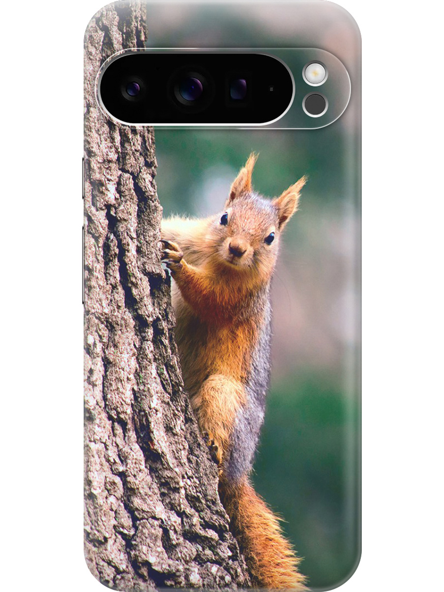 Силиконовый чехол на Google Pixel 9 pro с принтом "Белочка", Прозрачный;коричневый;оранжевый, 784810312
Силиконовый чехол на Google Pixel 9 pro с принтом "Белочка", Прозрачный;коричневый;оранжевый, 784810312