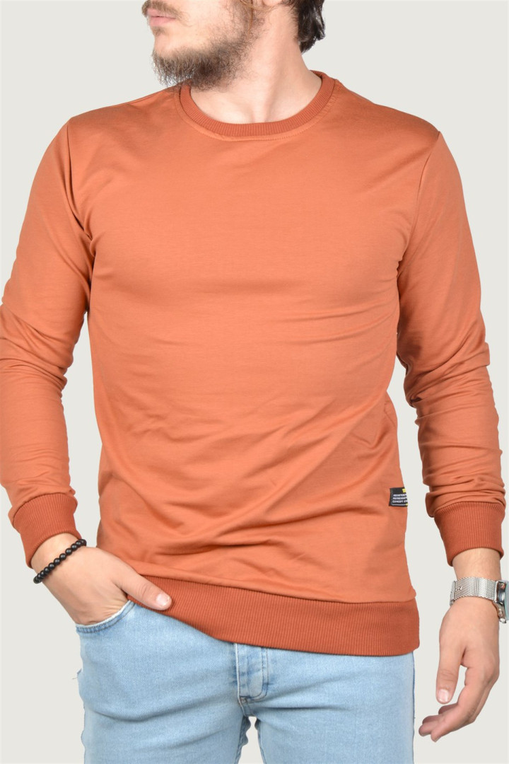 Свитшот мужской Terapi Men 20201 коричневый XS (доставка из-за рубежа), 20201
Свитшот мужской Terapi Men 20201 коричневый XS (доставка из-за рубежа), 20201