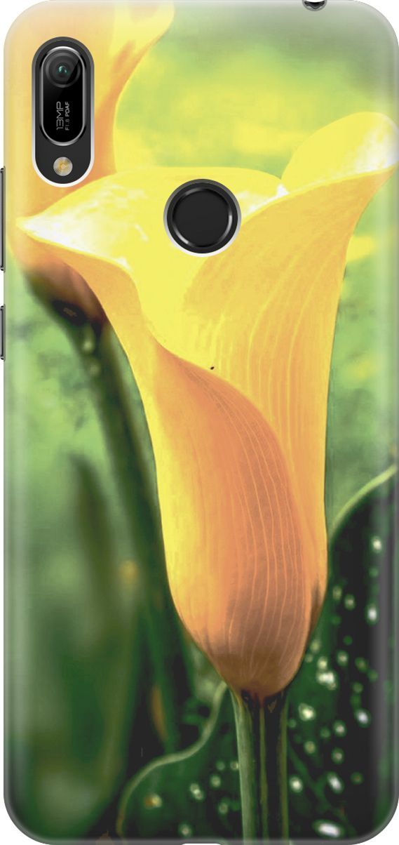 Чехол на Honor 8A/8A Pro/Huawei Y6 (2019)/Y6 Prime (2019) "Желтые каллы", Желтый;зеленый, 2786
Чехол на Honor 8A/8A Pro/Huawei Y6 (2019)/Y6 Prime (2019) "Желтые каллы", Желтый;зеленый, 2786