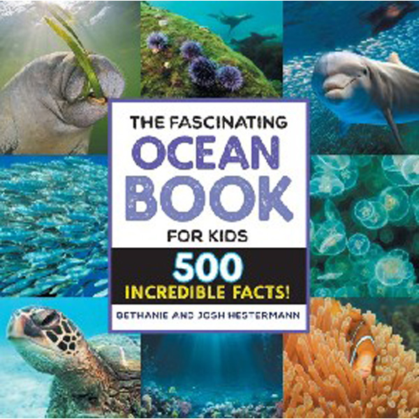 The Fascinating Ocean Book for Kids: 500 Incredible Facts! / Hestermann Bethan...
The Fascinating Ocean Book for Kids: 500 Incredible Facts! / Hestermann Bethan...