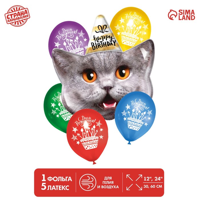 Страна Карнавалия Букет из шаров «С Днём Рождения», котик, латекс, фольга, набор 6 шт., Разноцветный
Страна Карнавалия Букет из шаров «С Днём Рождения», котик, латекс, фольга, набор 6 шт., Разноцветный