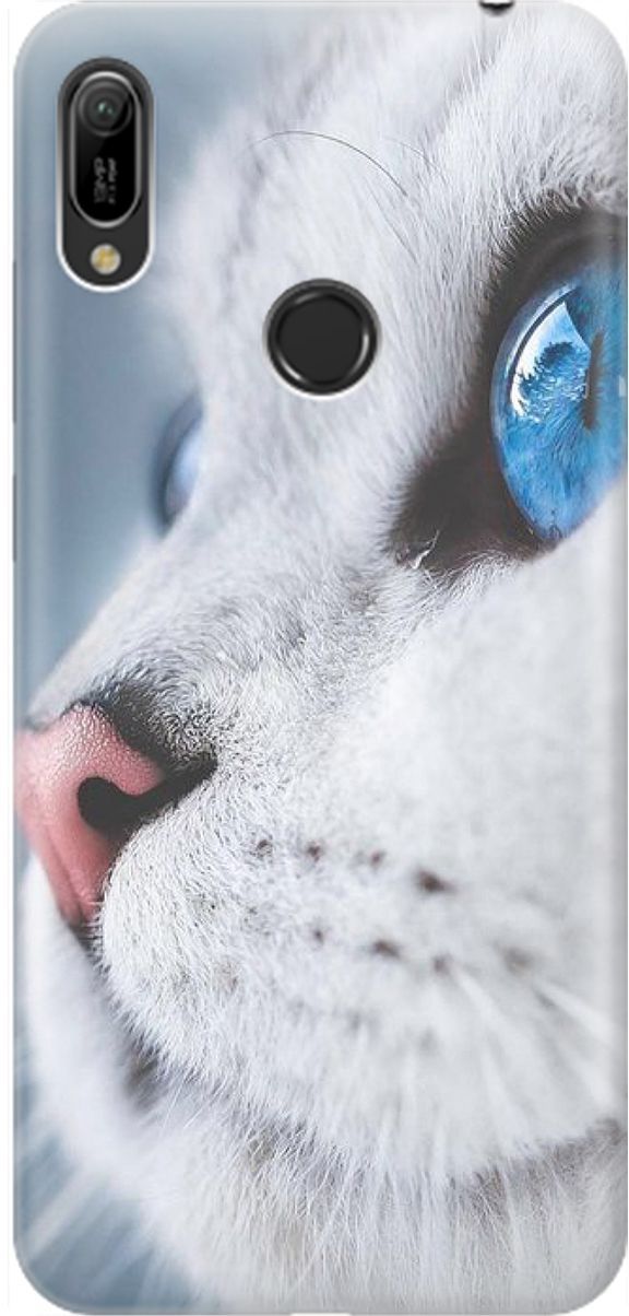 Чехол на Honor 8A/8A Pro/Huawei Y6 (2019)/Y6 Prime (2019) "Кошачий взгляд", Белый;голубой, 1474
Чехол на Honor 8A/8A Pro/Huawei Y6 (2019)/Y6 Prime (2019) "Кошачий взгляд", Белый;голубой, 1474