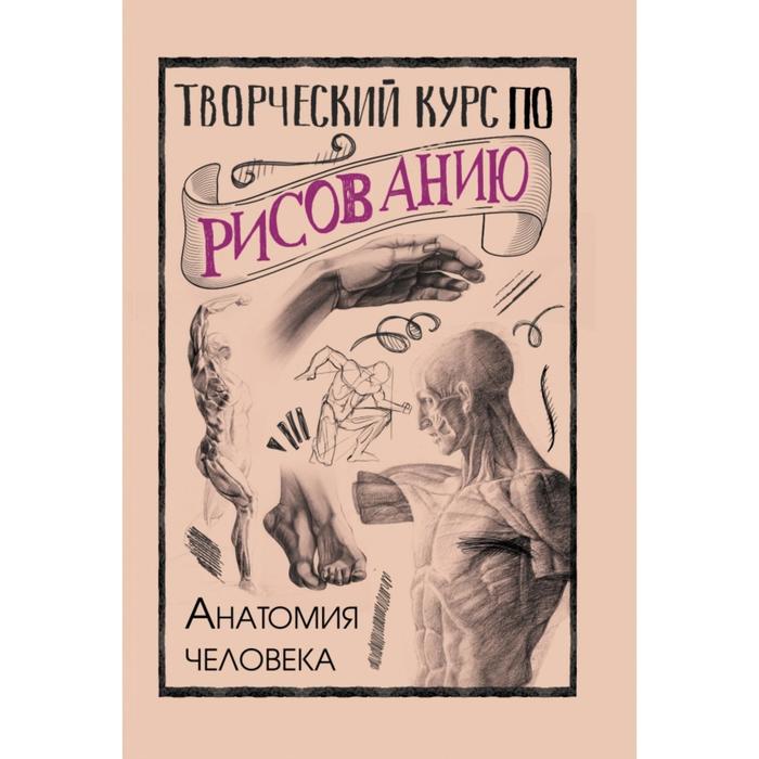 Книга Творческий курс по рисованию. Анатомия человека. Грей М., СкетчКурс по рисованию
Книга Творческий курс по рисованию. Анатомия человека. Грей М., СкетчКурс по рисованию