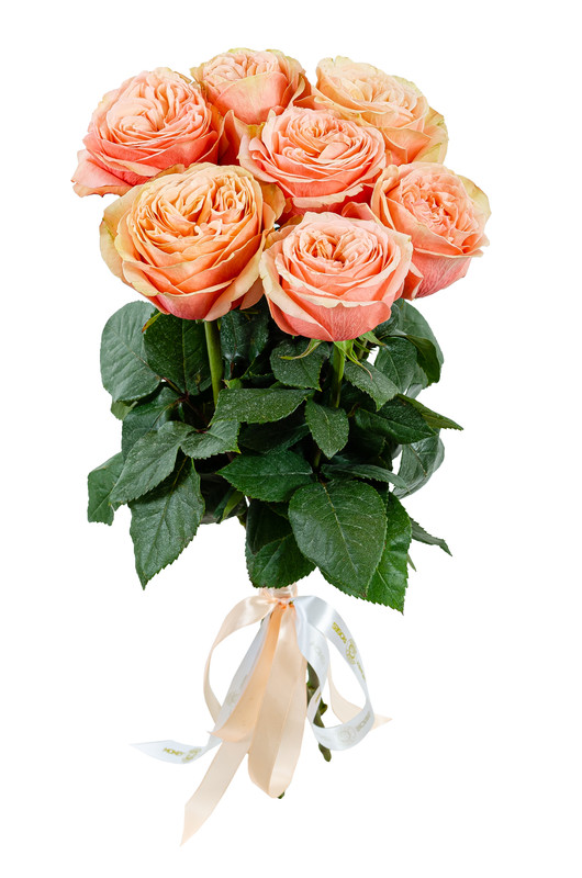 Букет живых цветов Money Roses из 7 золотых шикарных роз "Совершенство" 09, Совершенство
Букет живых цветов Money Roses из 7 золотых шикарных роз "Совершенство" 09, Совершенство