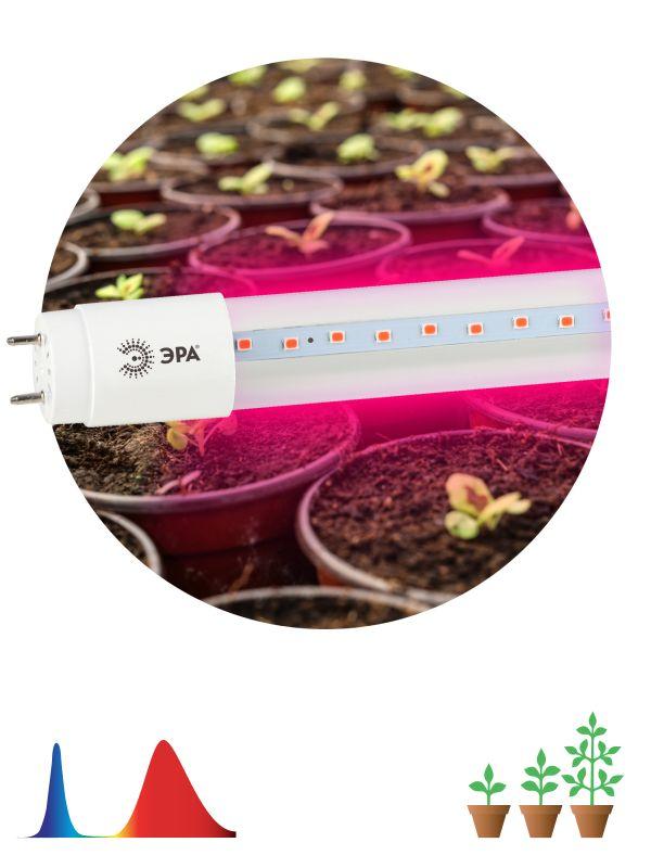 Лампа светодиодная FITO-9W-RB-Т8-G13-NL 9Вт T8 линейная 48LED 2835 IP20 35000ч для растени
Лампа светодиодная FITO-9W-RB-Т8-G13-NL 9Вт T8 линейная 48LED 2835 IP20 35000ч для растени