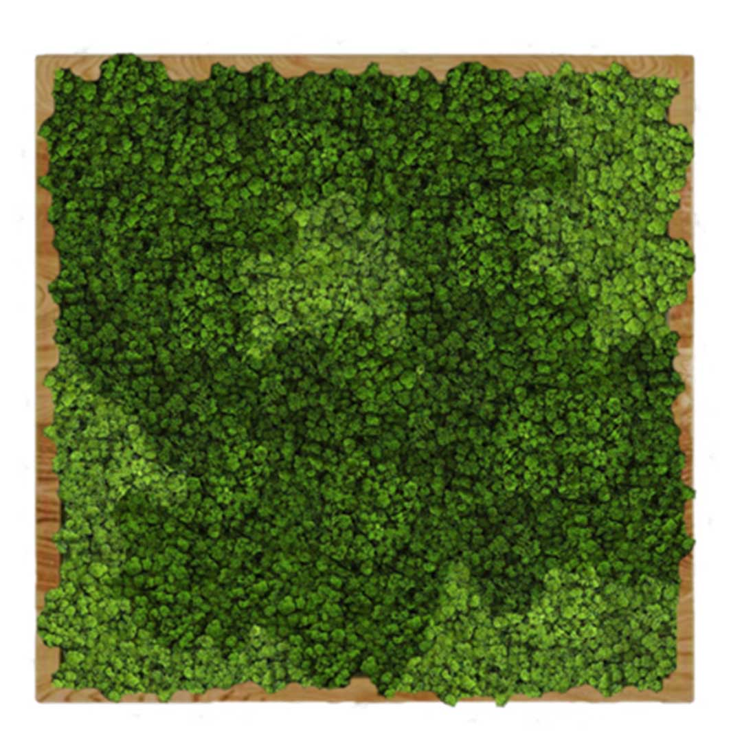Панно 90х90см для интерьера GardenGo из натурального стабилизированного мха зеленого цвета, 4
Панно 90х90см для интерьера GardenGo из натурального стабилизированного мха зеленого цвета, 4