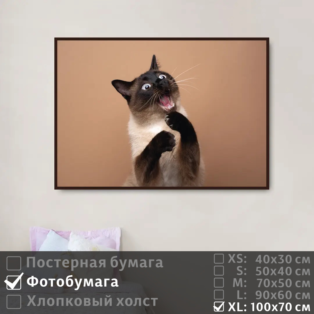 Постер на фотобумаге ПолиЦентр Портрет забавной кошки 100х70 см, ПортретЗабавнойКошки1
Постер на фотобумаге ПолиЦентр Портрет забавной кошки 100х70 см, ПортретЗабавнойКошки1