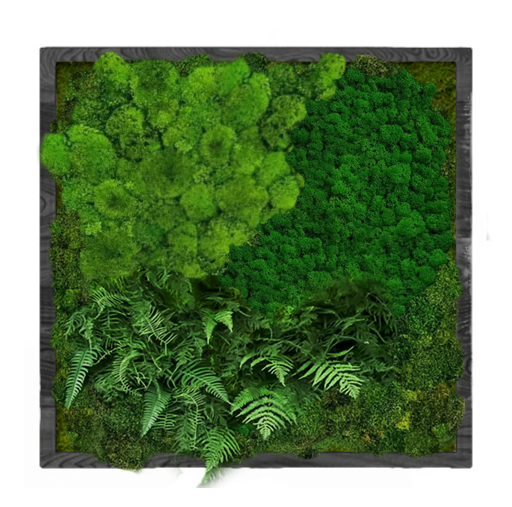 Панно для интерьера GardenGo 50х50см из натурального стабилизированного мха зеленого цвета, 14
Панно для интерьера GardenGo 50х50см из натурального стабилизированного мха зеленого цвета, 14