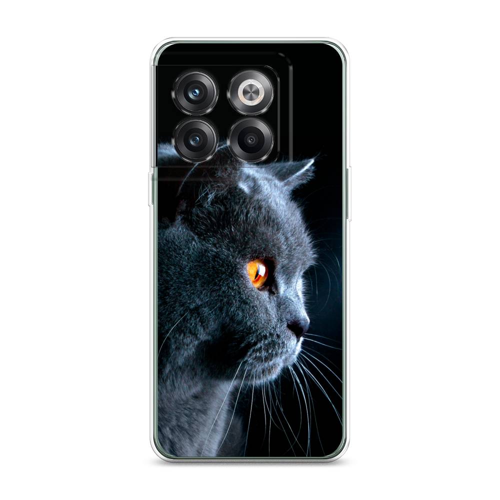 Чехол Awog на OnePlus Ace Pro / ВанПлас Ace Pro "Благородный кот британец", Разноцветный, 153350-2
Чехол Awog на OnePlus Ace Pro / ВанПлас Ace Pro "Благородный кот британец", Разноцветный, 153350-2