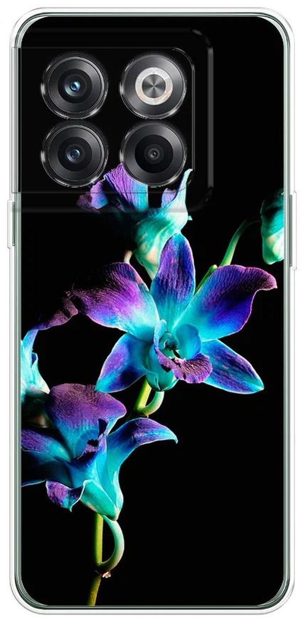 Чехол Awog на OnePlus Ace Pro / ВанПлас Ace Pro "Синий цветок на черном", Разноцветный, 153350-8
Чехол Awog на OnePlus Ace Pro / ВанПлас Ace Pro "Синий цветок на черном", Разноцветный, 153350-8