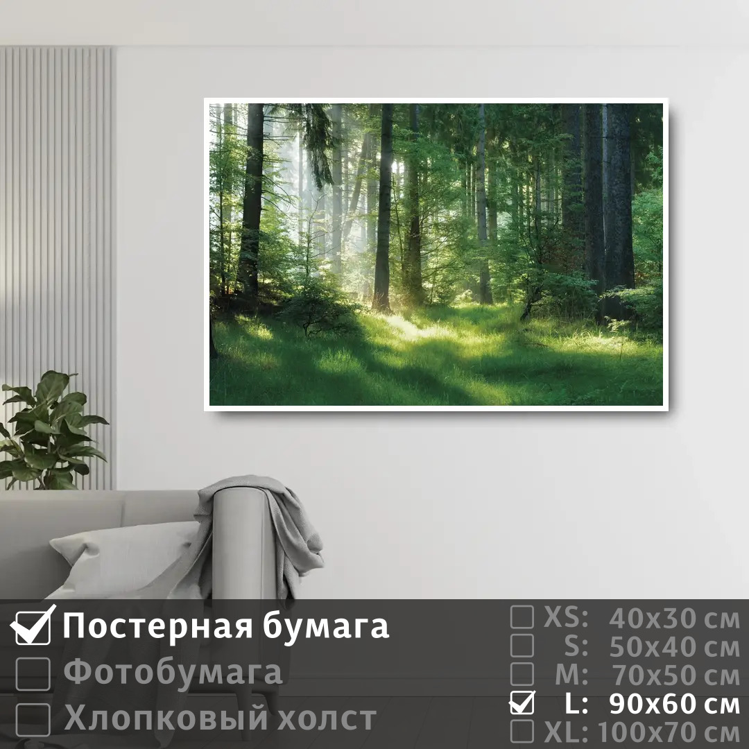 Постер на стену ПолиЦентр Солнечные лучи на рассвете в лесу 90х60 см, СолнечныеЛучиНаРассветеВЛесу
Постер на стену ПолиЦентр Солнечные лучи на рассвете в лесу 90х60 см, СолнечныеЛучиНаРассветеВЛесу