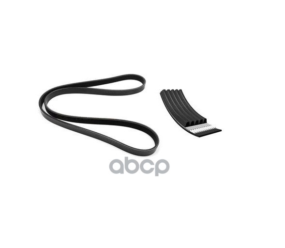 Ремень поликлиновой Alfa Romeo / Audi / BMW / Citroen / Fiat / Honda / Peugeot / Seat / Sk
Ремень поликлиновой Alfa Romeo / Audi / BMW / Citroen / Fiat / Honda / Peugeot / Seat / Sk
