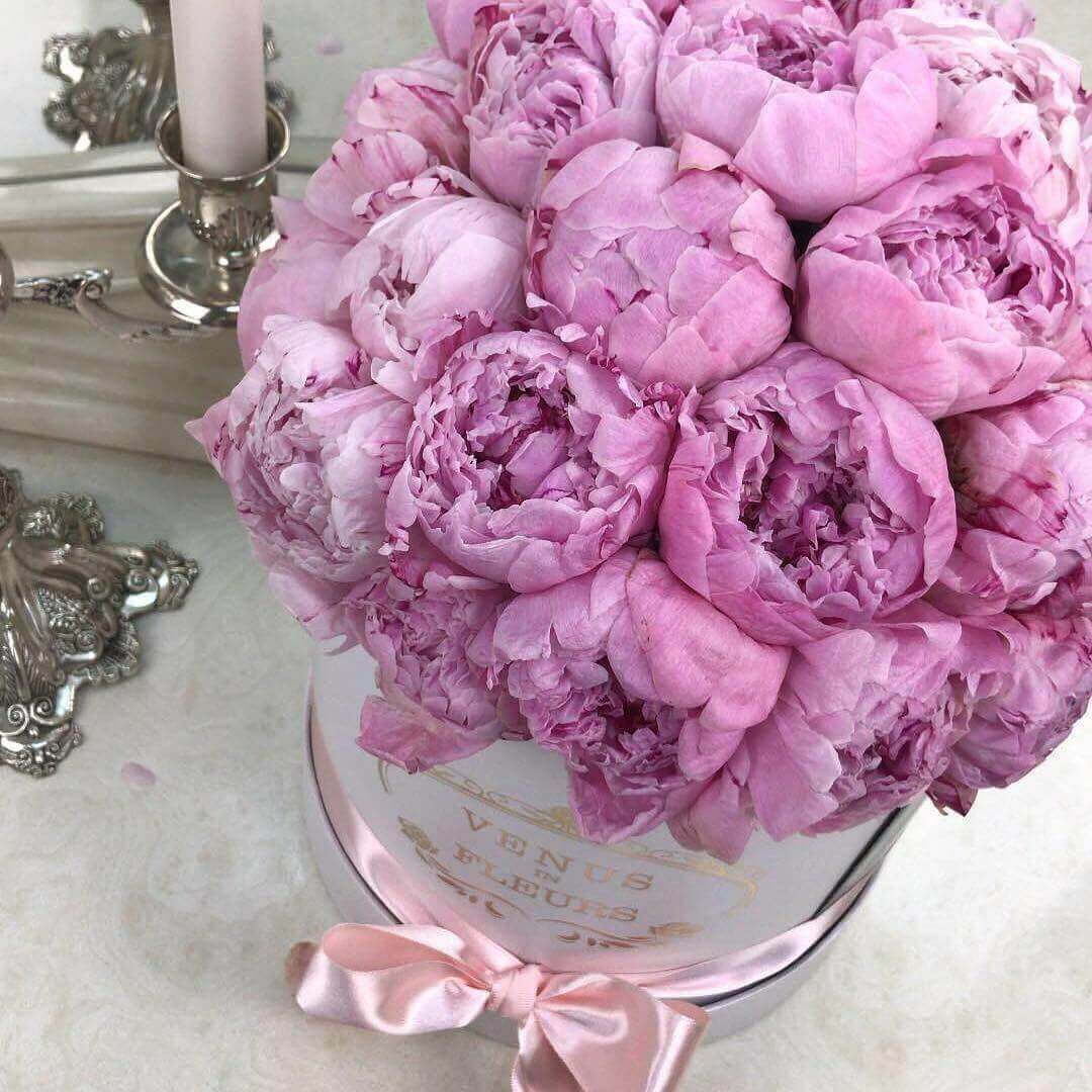 Цветы в коробке Venus in Fleurs Букет пионов в коробке 808213, Букет пионов в коробке
Цветы в коробке Venus in Fleurs Букет пионов в коробке 808213, Букет пионов в коробке