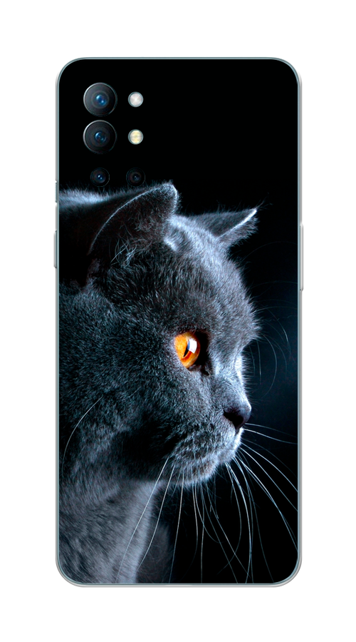 Чехол Awog на OnePlus 9R / ВанПлас 9R "Благородный кот британец", Черный;серый;оранжевый, 151650-2
Чехол Awog на OnePlus 9R / ВанПлас 9R "Благородный кот британец", Черный;серый;оранжевый, 151650-2