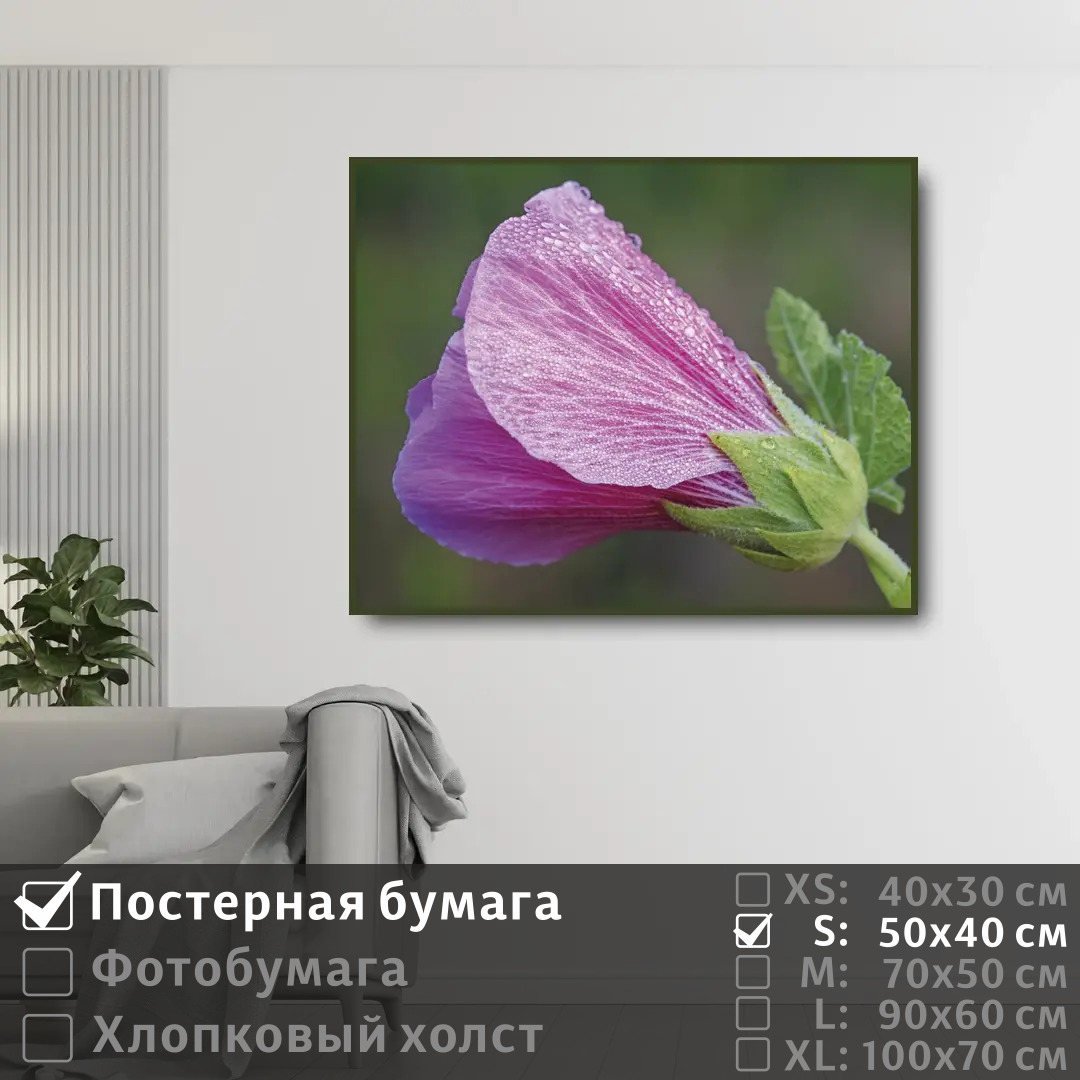 Постер на стену ПолиЦентр Розовый цветок мальвы с каплями 50х40 см, РозовыйЦветокМальвыСКаплями
Постер на стену ПолиЦентр Розовый цветок мальвы с каплями 50х40 см, РозовыйЦветокМальвыСКаплями