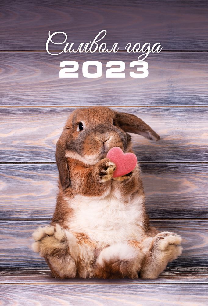 Календарь настенный ND Play "Символ года 1. Кролики. Маркет" на 2023 год 305678, Символ года 1
Календарь настенный ND Play "Символ года 1. Кролики. Маркет" на 2023 год 305678, Символ года 1