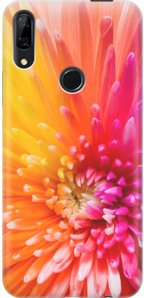 Чехол на Honor 9X/9X Premium/Huawei P Smart Z/Y9 Prime (2019) "Розовая хризантема", Оранжевый;розовый, 1462
Чехол на Honor 9X/9X Premium/Huawei P Smart Z/Y9 Prime (2019) "Розовая хризантема", Оранжевый;розовый, 1462