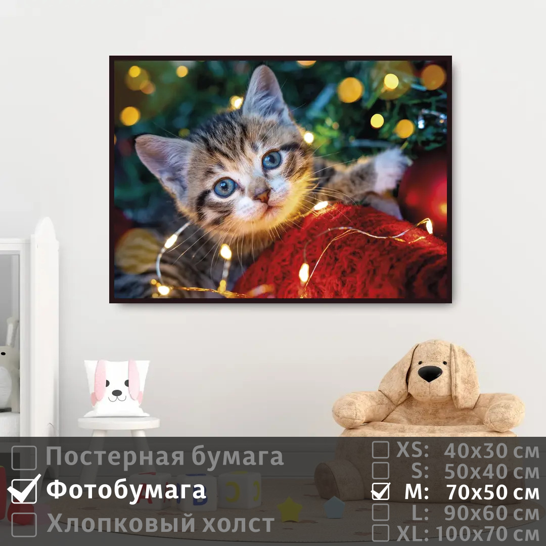 Постер на фотобумаге ПолиЦентр Милый смешной котик на стену 70х50 см, МилыйСмешнойКотикНаСтену
Постер на фотобумаге ПолиЦентр Милый смешной котик на стену 70х50 см, МилыйСмешнойКотикНаСтену