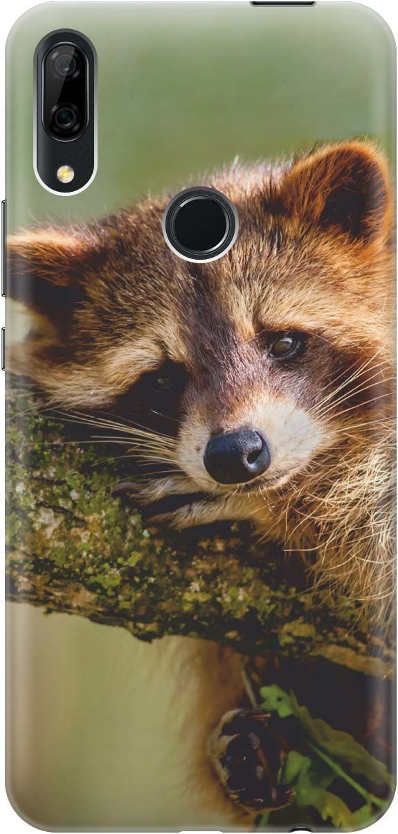 Чехол на Honor 9X/9X Premium/Huawei P Smart Z/Y9 Prime (2019) "Задумчивый енот", Зеленый;коричневый, 347
Чехол на Honor 9X/9X Premium/Huawei P Smart Z/Y9 Prime (2019) "Задумчивый енот", Зеленый;коричневый, 347