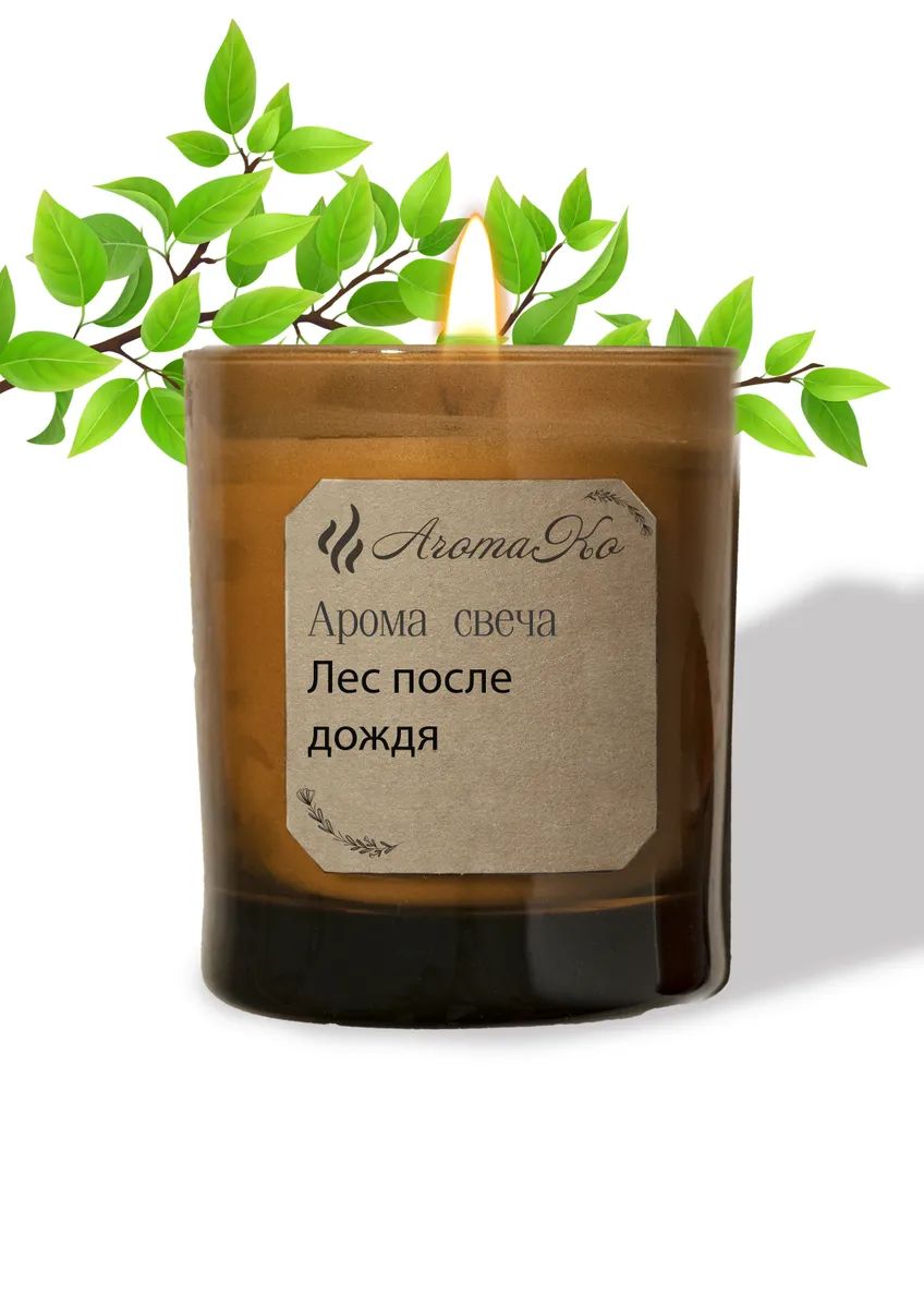 Аромасвеча интерьерная в банке с деревянным фитилем AromaKo Лес после дождя, 200 г, Лес после дождя
Аромасвеча интерьерная в банке с деревянным фитилем AromaKo Лес после дождя, 200 г, Лес после дождя