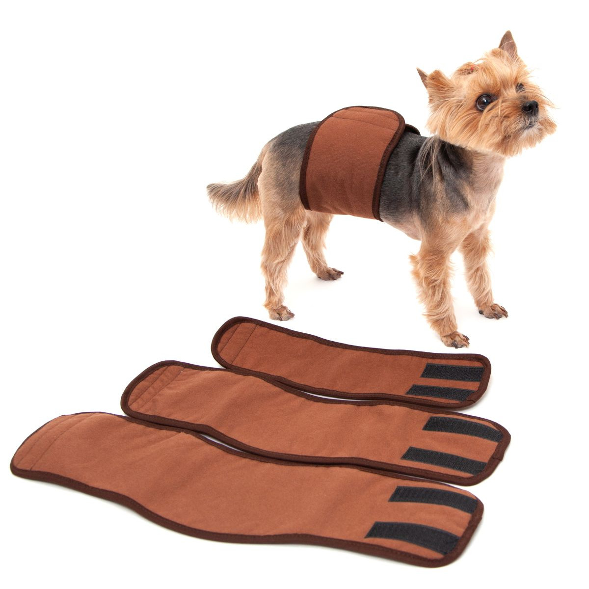 фото Пояс для кобелей osso fashion многоразовый, р-р l, объем талии 39-44 см, ширина 12 см