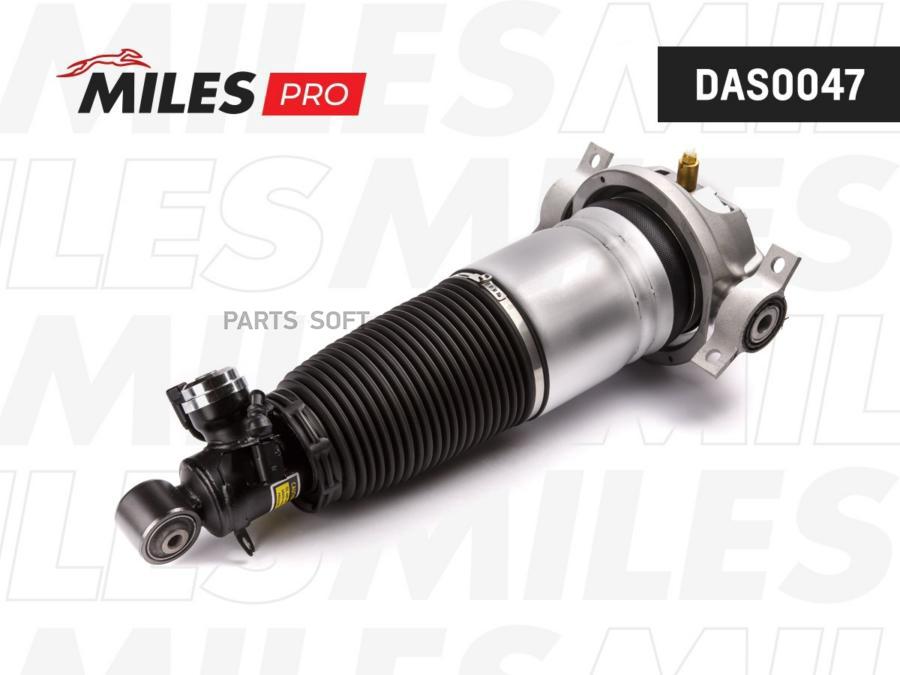 MILES DAS0047 Пневмоамортизатор задний правый AUDI Q7 / PORSCHE CAYENNE (BILSTEIN 45-24098
MILES DAS0047 Пневмоамортизатор задний правый AUDI Q7 / PORSCHE CAYENNE (BILSTEIN 45-24098