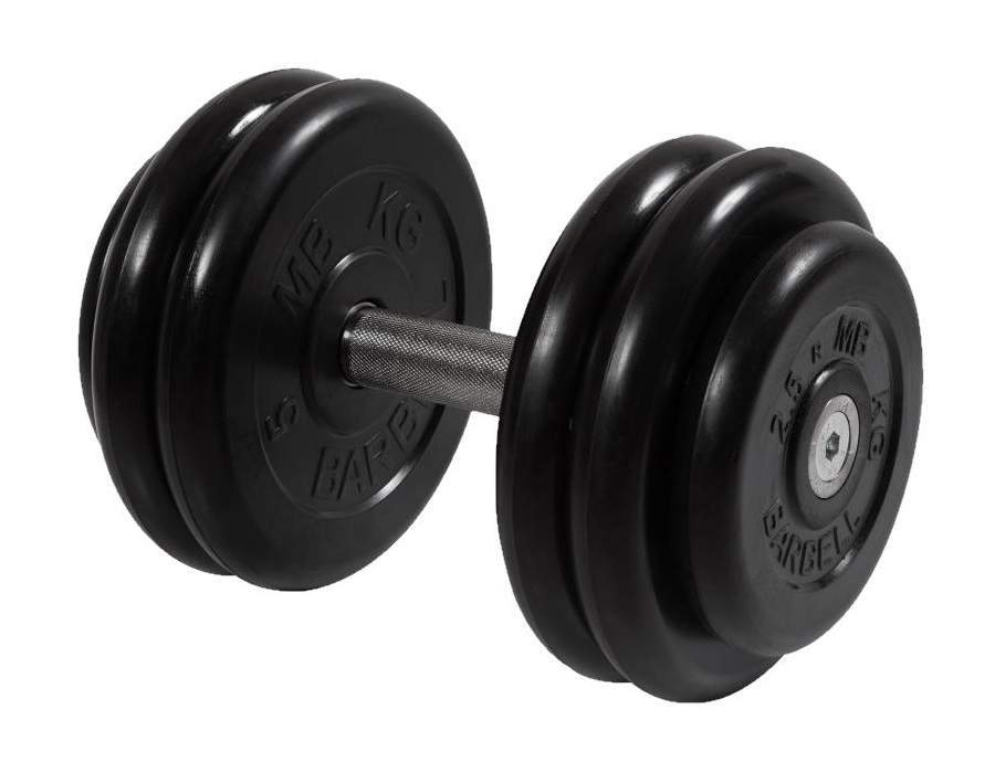 Гантель MB Barbell черная неразборная 26кг MB-FdbM-B26 
Гантель MB Barbell черная неразборная 26кг MB-FdbM-B26