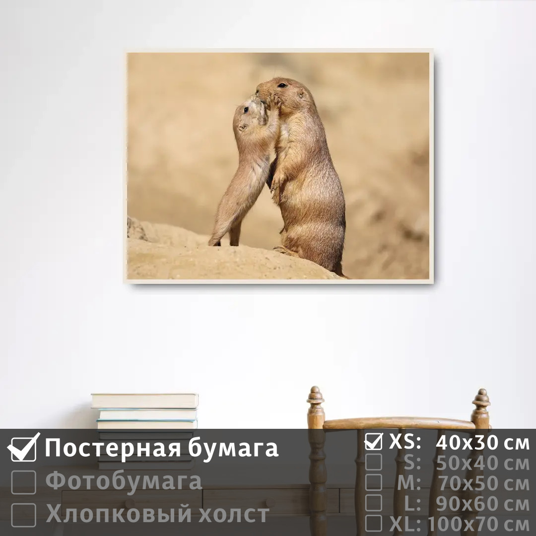Постер на стену ПолиЦентр Ребенок суриката целует свою маму 40х30 см, РебенокСурикатаЦелуетСвоюМаму
Постер на стену ПолиЦентр Ребенок суриката целует свою маму 40х30 см, РебенокСурикатаЦелуетСвоюМаму