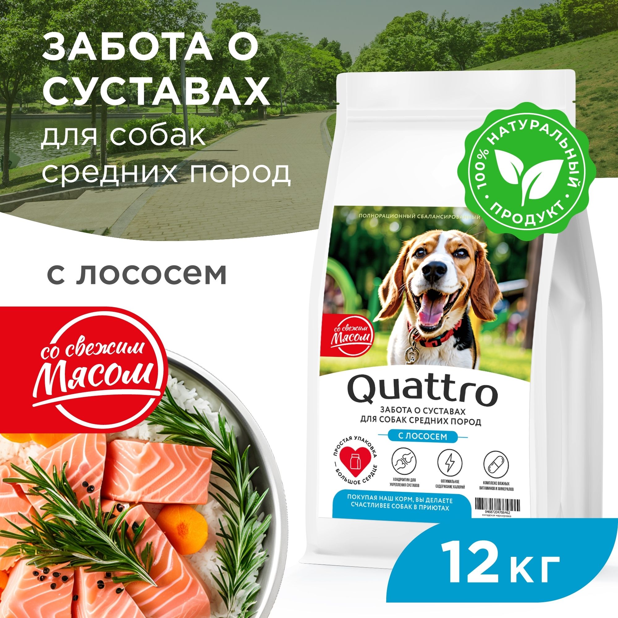Сухой корм для собак QUATTRO, Средние породы премиум, забота о суставах, лосось, 12 кг
Сухой корм для собак QUATTRO, Средние породы премиум, забота о суставах, лосось, 12 кг