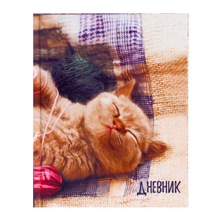Дневник для 1-4 классов Котенок твердая обложка глянцевая ламинация 48 л, Разноцветный
Дневник для 1-4 классов Котенок твердая обложка глянцевая ламинация 48 л, Разноцветный