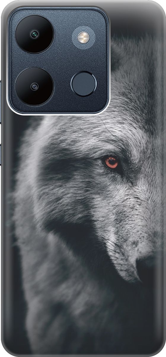 Чехол на Infinix Smart 7/Tecno Spark Go 2023/Pop 7/Pop 7 Pro "Красноглазый волк", Красный;серый, 158841
Чехол на Infinix Smart 7/Tecno Spark Go 2023/Pop 7/Pop 7 Pro "Красноглазый волк", Красный;серый, 158841