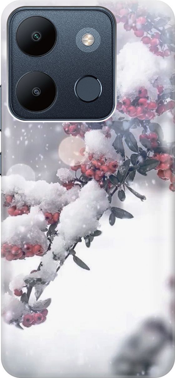 Чехол на Infinix Smart 7/Tecno Spark Go 2023/Pop 7/Pop 7 Pro "Заснеженная рябина", Белый;серый, 158837
Чехол на Infinix Smart 7/Tecno Spark Go 2023/Pop 7/Pop 7 Pro "Заснеженная рябина", Белый;серый, 158837