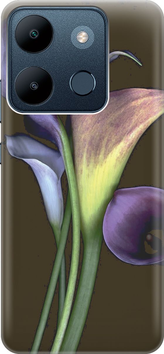 Чехол на Infinix Smart 7/Tecno Spark Go 2023/Pop 7/Pop 7 Pro "Каллы", Зеленый;коричневый, 158840
Чехол на Infinix Smart 7/Tecno Spark Go 2023/Pop 7/Pop 7 Pro "Каллы", Зеленый;коричневый, 158840