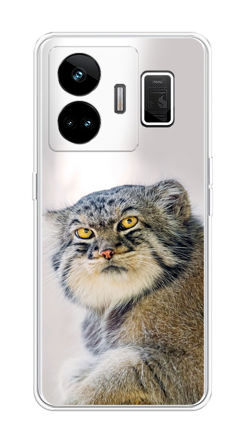 Чехол на Realme GT Neo 5 5G/Realme GT3 "Кот манул 1", Серый;белый;желтый, 2513650-1
Чехол на Realme GT Neo 5 5G/Realme GT3 "Кот манул 1", Серый;белый;желтый, 2513650-1