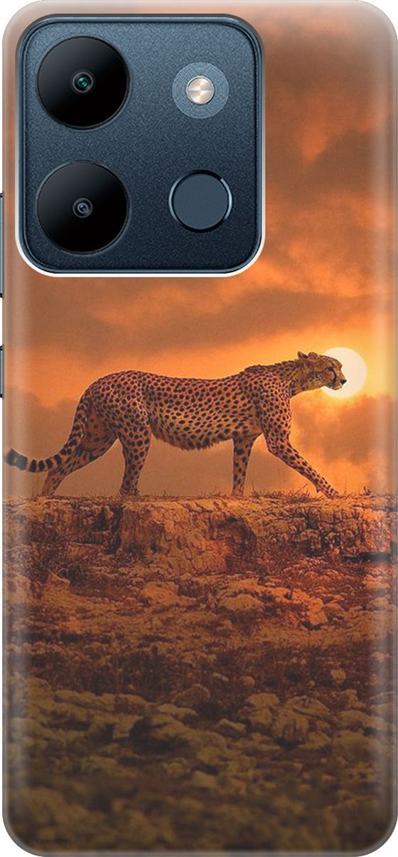 Чехол на Infinix Smart 7/Tecno Spark Go 2023/Pop 7/Pop 7 Pro "Закатный гепард", Коричневый;оранжевый, 158839
Чехол на Infinix Smart 7/Tecno Spark Go 2023/Pop 7/Pop 7 Pro "Закатный гепард", Коричневый;оранжевый, 158839