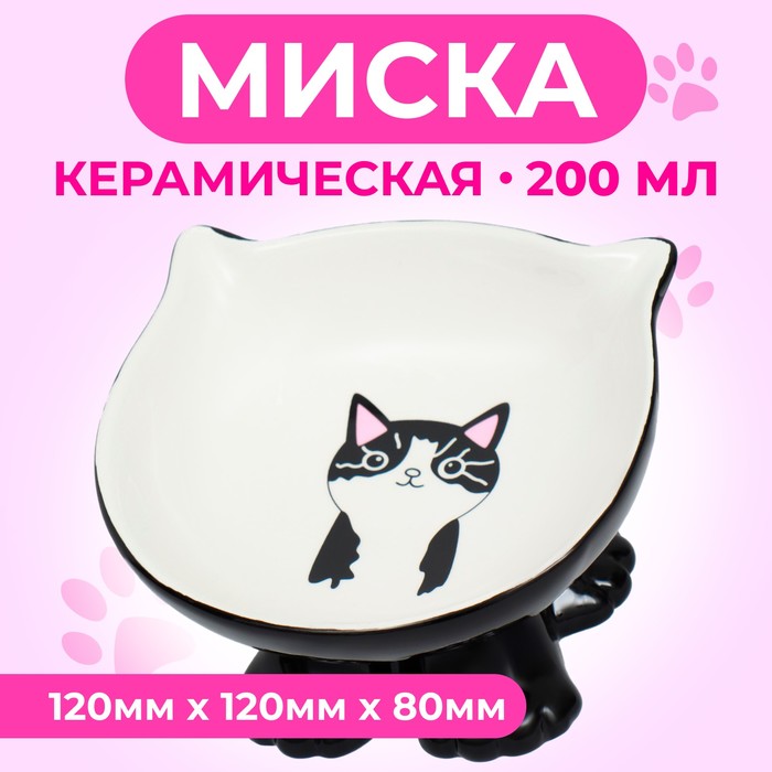 Миска для кошек Пижон Киса на подставке-лапках, черная, керамика, 200 мл, 13 х 12 х 8 см, Черный, Киса на подставке-лапках
Миска для кошек Пижон Киса на подставке-лапках, черная, керамика, 200 мл, 13 х 12 х 8 см, Черный, Киса на подставке-лапках