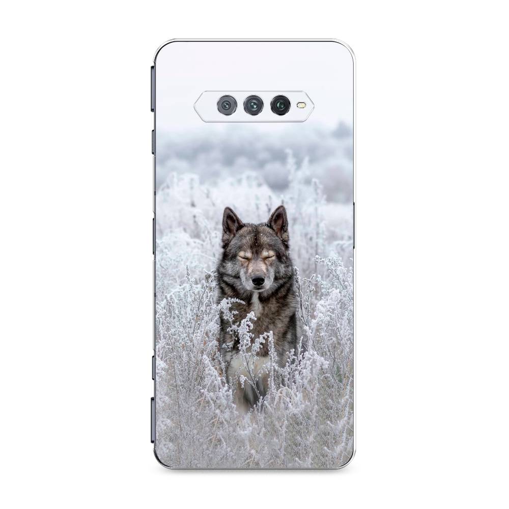 Чехол Awog на Xiaomi Black Shark 4/4S/4S Pro/4 Pro "Волк в поле", Разноцветный, 311550-1
Чехол Awog на Xiaomi Black Shark 4/4S/4S Pro/4 Pro "Волк в поле", Разноцветный, 311550-1