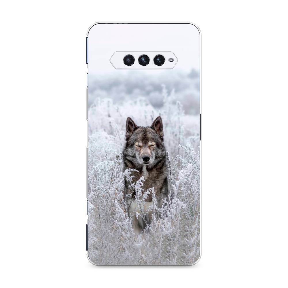 Чехол Awog на Xiaomi Black Shark 4/4S/4S Pro/4 Pro "Волк в поле", Разноцветный, 311150-1
Чехол Awog на Xiaomi Black Shark 4/4S/4S Pro/4 Pro "Волк в поле", Разноцветный, 311150-1