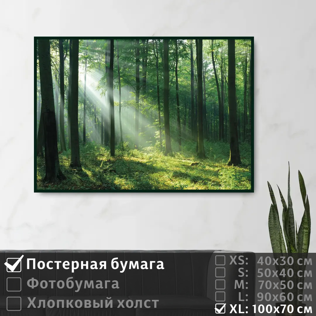 Постер на стену ПолиЦентр Лучи сквозь листву на рассвете 100х70 см, ЛучиСквозьЛиствуНаРассвете1
Постер на стену ПолиЦентр Лучи сквозь листву на рассвете 100х70 см, ЛучиСквозьЛиствуНаРассвете1