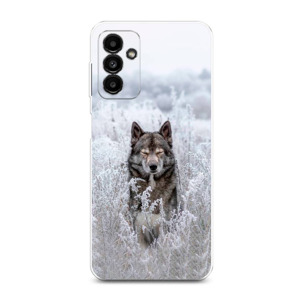 Чехол Awog на Samsung Galaxy A04s / Самсунг A04s "Волк в поле", Разноцветный, 2106450-1
Чехол Awog на Samsung Galaxy A04s / Самсунг A04s "Волк в поле", Разноцветный, 2106450-1