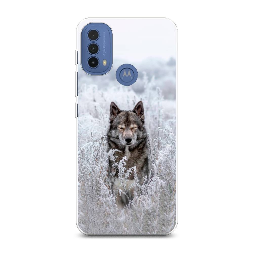 Чехол Awog на Lenovo K14 Plus/Motorola Moto E20/E30/E40 "Волк в поле", Разноцветный, 243550-1
Чехол Awog на Lenovo K14 Plus/Motorola Moto E20/E30/E40 "Волк в поле", Разноцветный, 243550-1