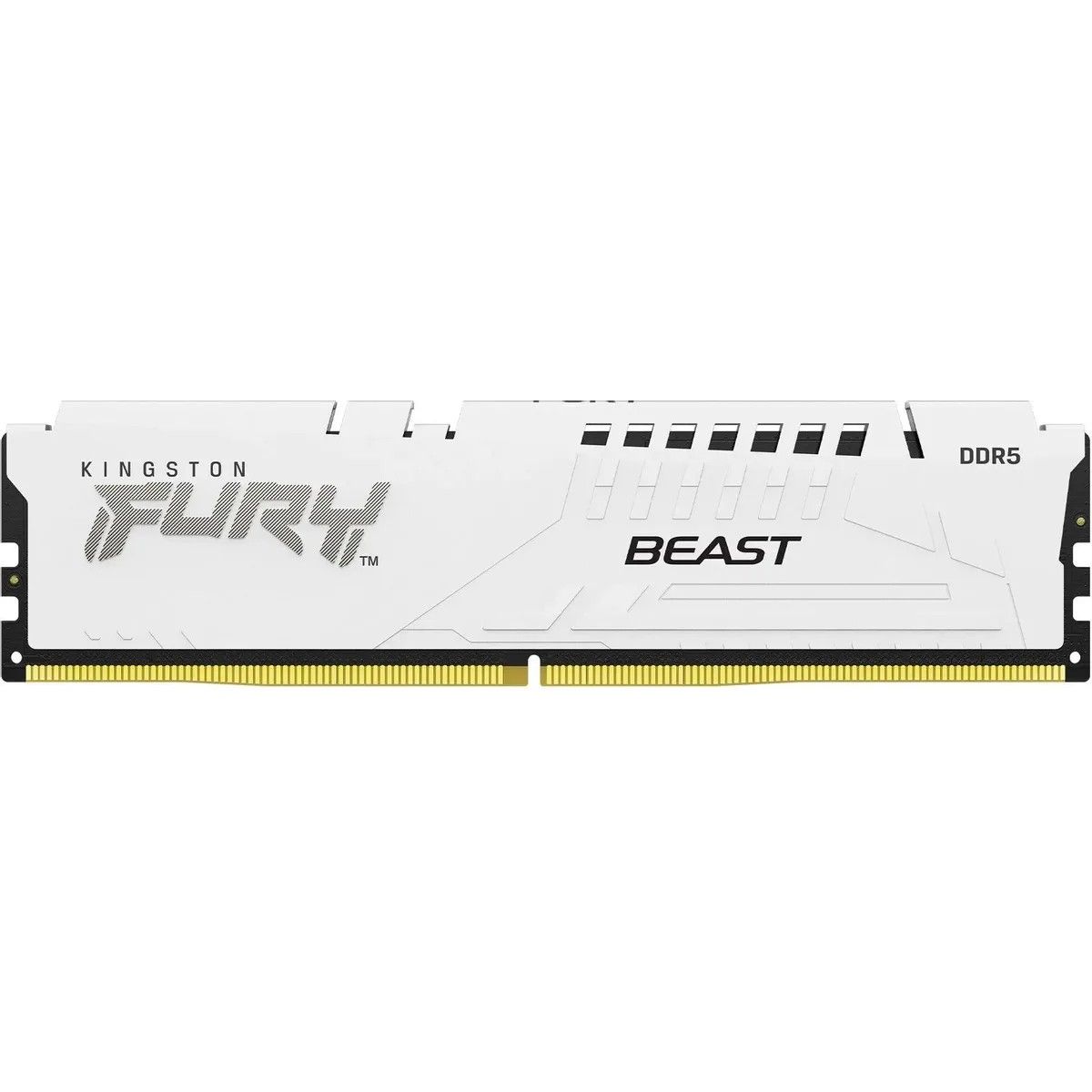 Оперативная память Kingston Fury Beast (KF568C34BWE-16), DDR5 1x16Gb, 6800MHz, Fury Beast
Оперативная память Kingston Fury Beast (KF568C34BWE-16), DDR5 1x16Gb, 6800MHz, Fury Beast