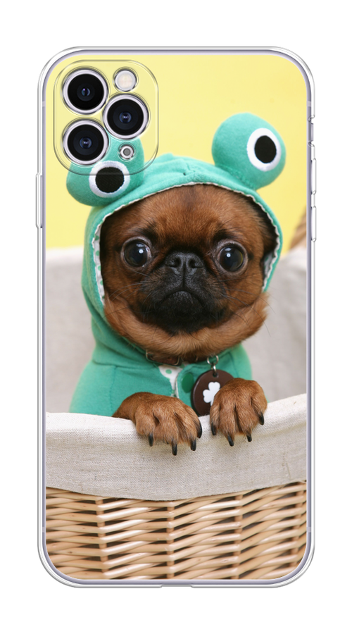 Чехол на Apple iPhone 11 Pro "Собачка в шапке лягушки", Коричневый;желтый;голубой, 12350-1
Чехол на Apple iPhone 11 Pro "Собачка в шапке лягушки", Коричневый;желтый;голубой, 12350-1