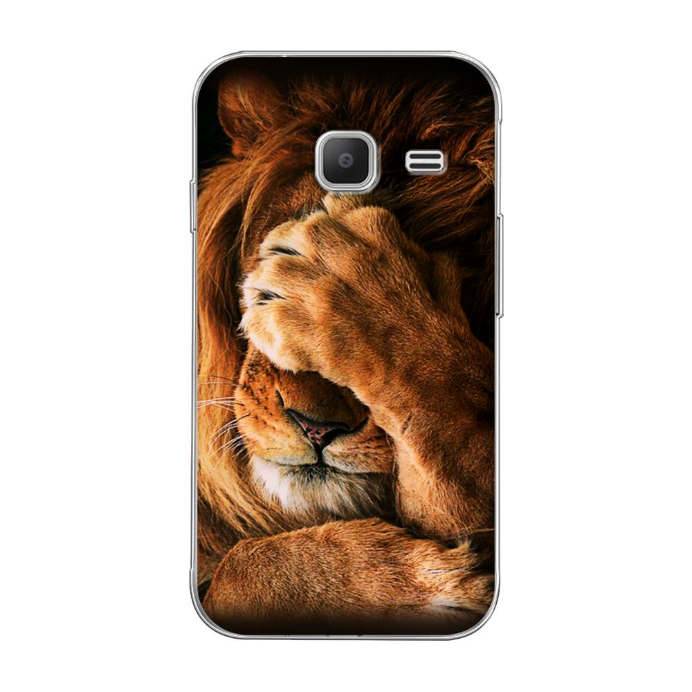 Чехол Awog на Samsung Galaxy J1 mini 2016 / Самсунг J1 mini 2016 "Львиный стыд", 22250-1
Чехол Awog на Samsung Galaxy J1 mini 2016 / Самсунг J1 mini 2016 "Львиный стыд", 22250-1