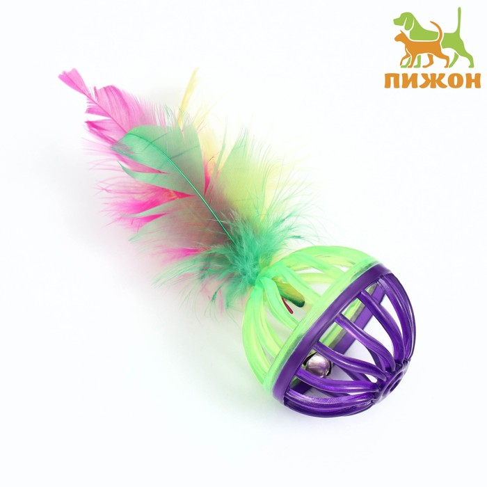 Игрушка для кошек Пижон Шарик с бубенчиком Завитушка с пером, 4 см, салатово-фиолетовый
Игрушка для кошек Пижон Шарик с бубенчиком Завитушка с пером, 4 см, салатово-фиолетовый