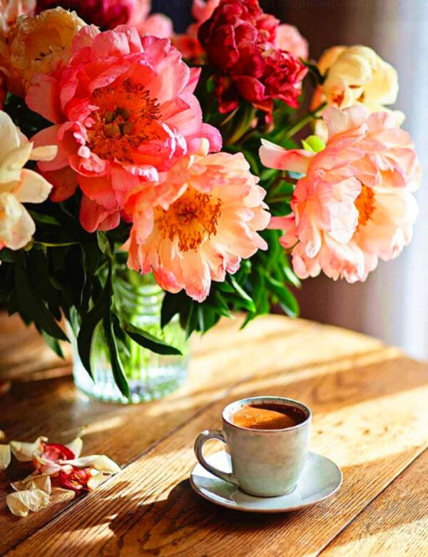 Алмазная мозаика DVEKARTINKI HWB Пионы в вазе и чашечка кофе 30x40, подрамник, Пионы в вазе и чашечка кофе
Алмазная мозаика DVEKARTINKI HWB Пионы в вазе и чашечка кофе 30x40, подрамник, Пионы в вазе и чашечка кофе