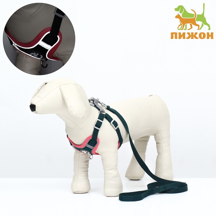 Комплект амуниции Пижон Sport+, М, поводок 120x1,5см, ОШ 44-48 ОГ 51-60 см, вес 14-20 кг
Комплект амуниции Пижон Sport+, М, поводок 120x1,5см, ОШ 44-48 ОГ 51-60 см, вес 14-20 кг
