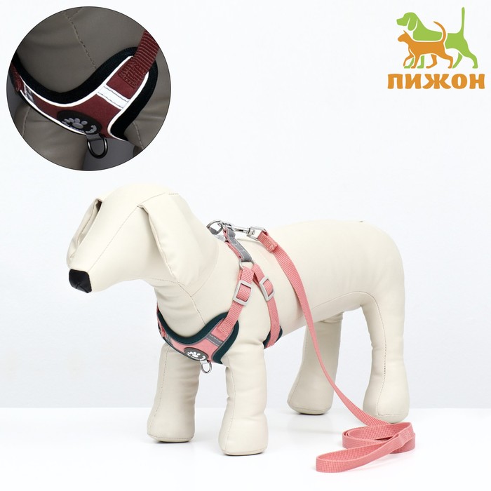 Комплект амуниции Пижон Sport+, XS, поводок 120x1,5 см, ОШ 37-39 ОГ 41-46 см, вес 4-6 кг
Комплект амуниции Пижон Sport+, XS, поводок 120x1,5 см, ОШ 37-39 ОГ 41-46 см, вес 4-6 кг